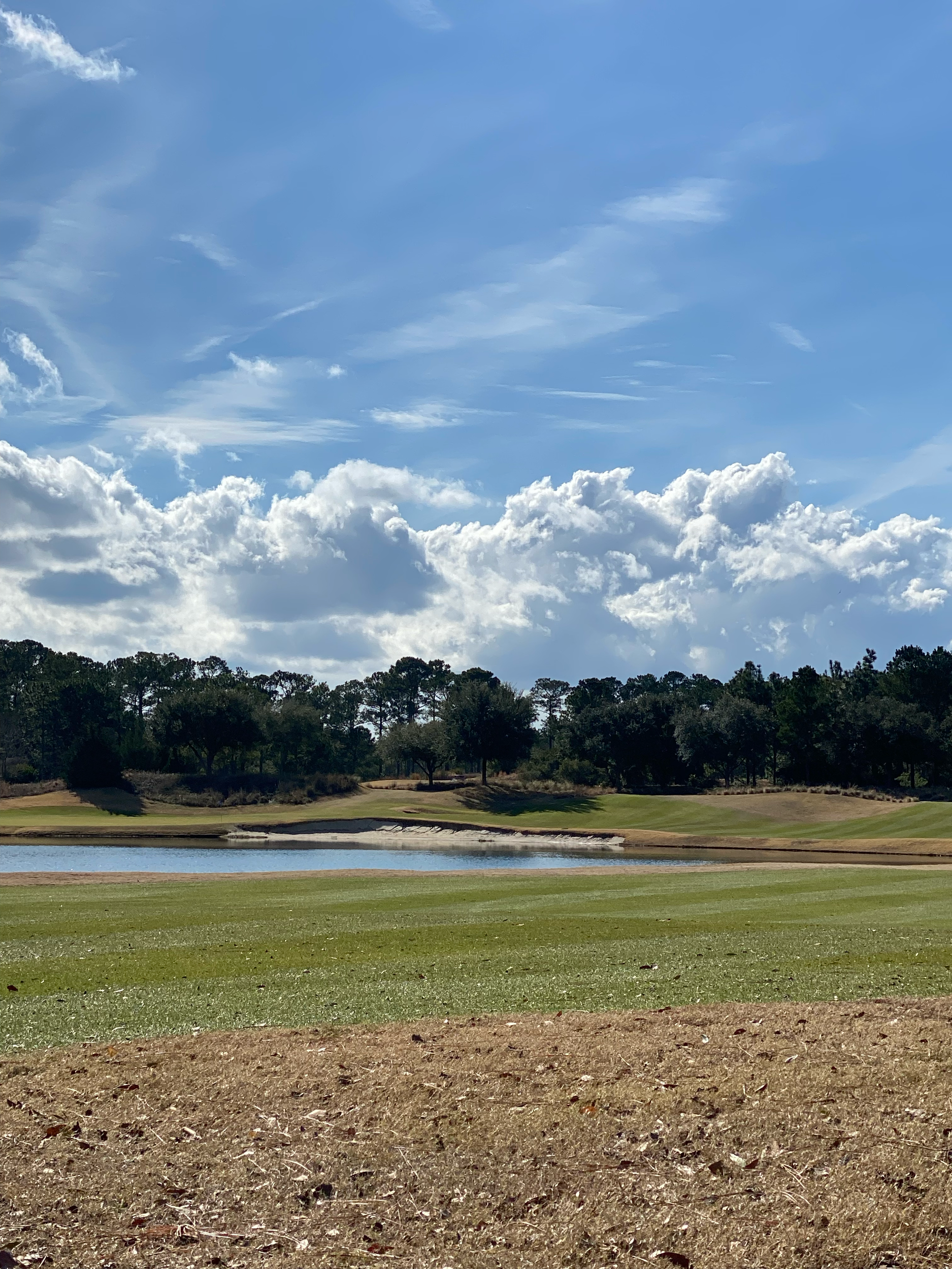 January Golfing at True Blue Golf Club