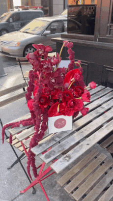 Untitled design (1) copy 3.gif