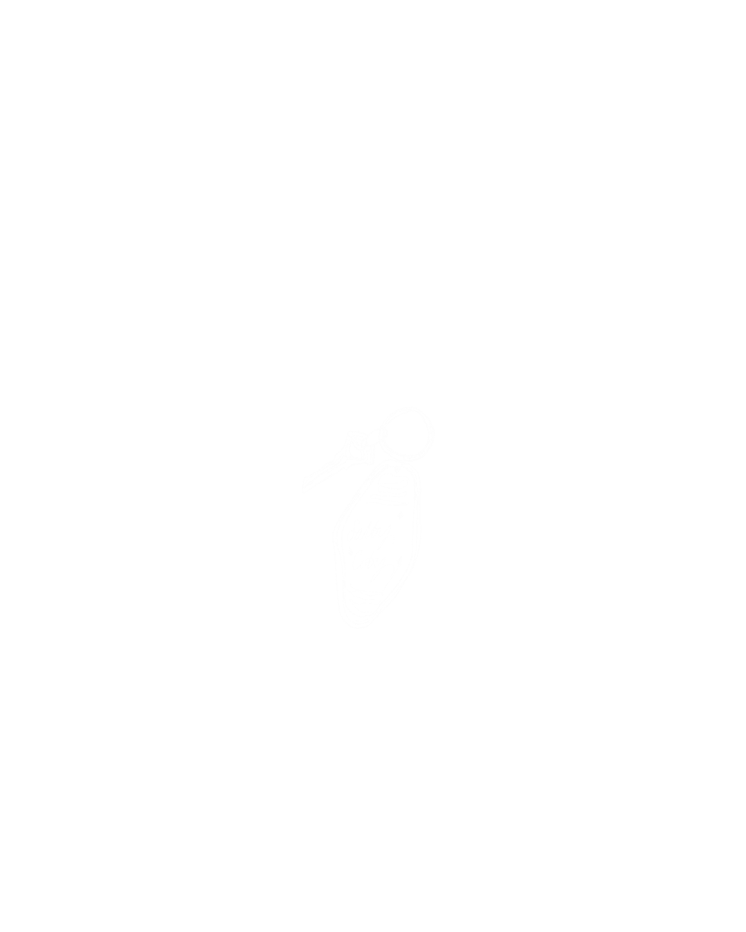 Black and white graphic with the words 'Salt City' arched above a small illustration of a salt shaker with a key attached, and 'SLC' and 'UTAH' on either side of the salt shaker.