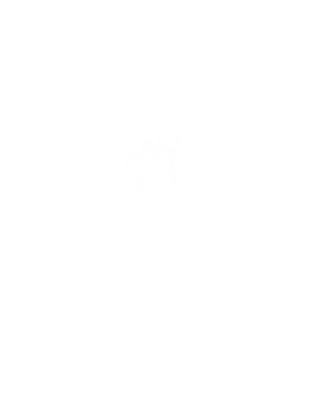 Black shirt with white graphic of a bird with a long beak and the words 'Salty Chick' on it.