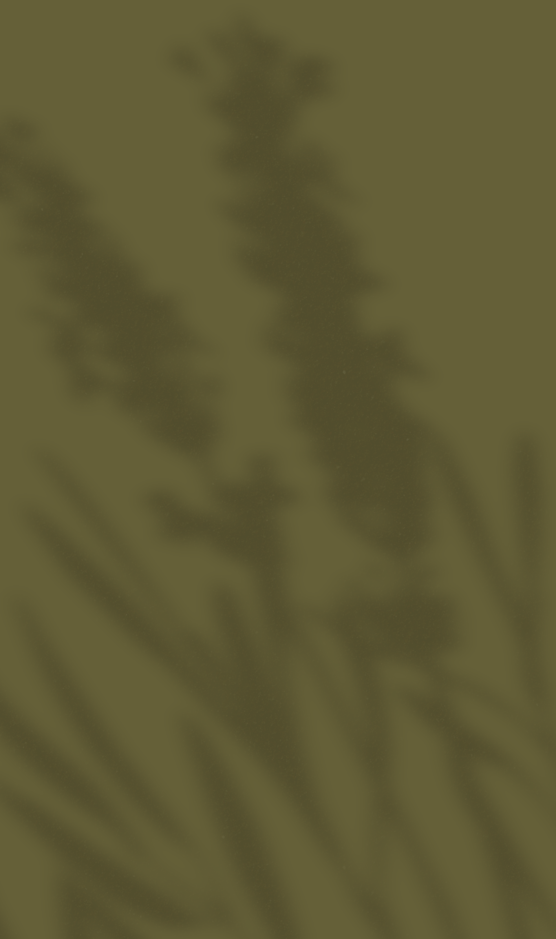 90.png