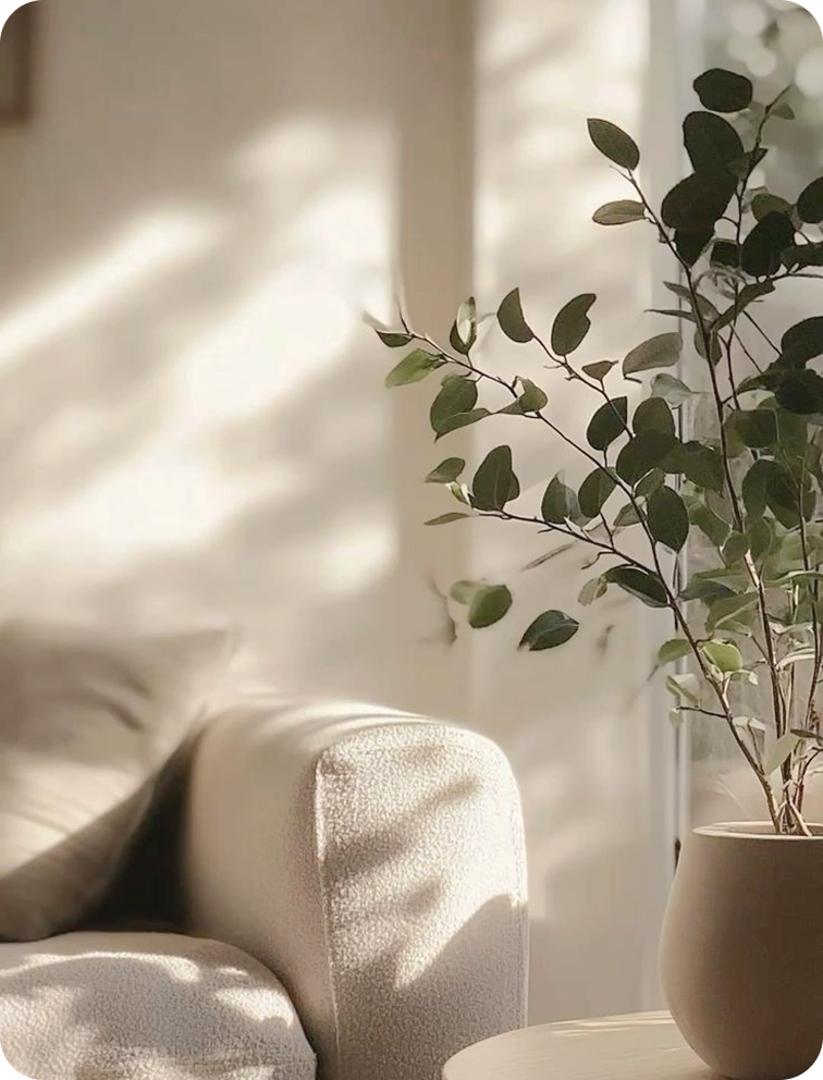 Una planta de hojas verdes en una maceta beige, en un espacio interior con luz natural y sombra de cortina sobre un sofá beige.