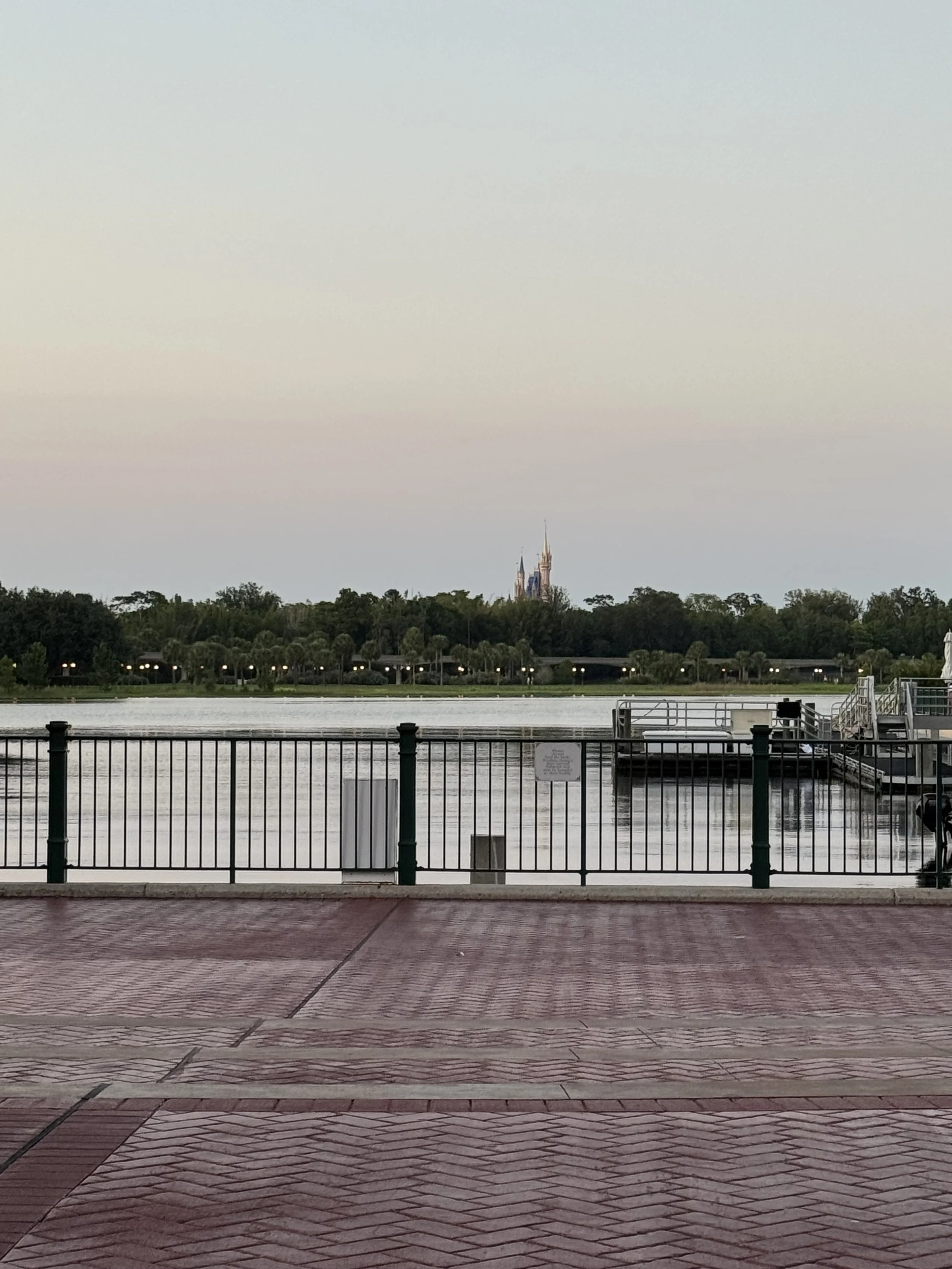 IMG_6082.jpeg
