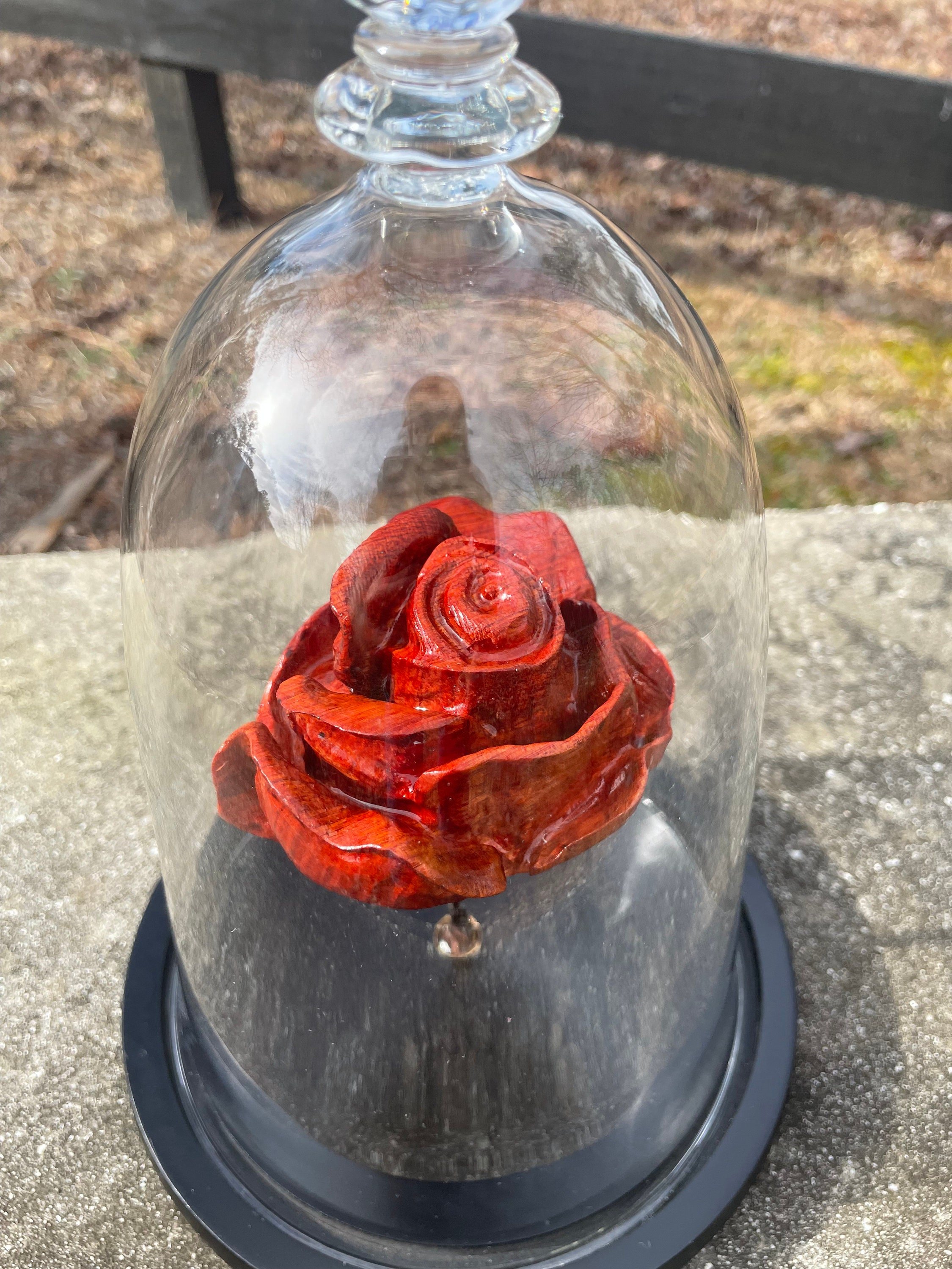 https://i.etsystatic.com/34489972/r/il/cba024/5191412500/il_fullxfull.5191412500_3wb3.jpg