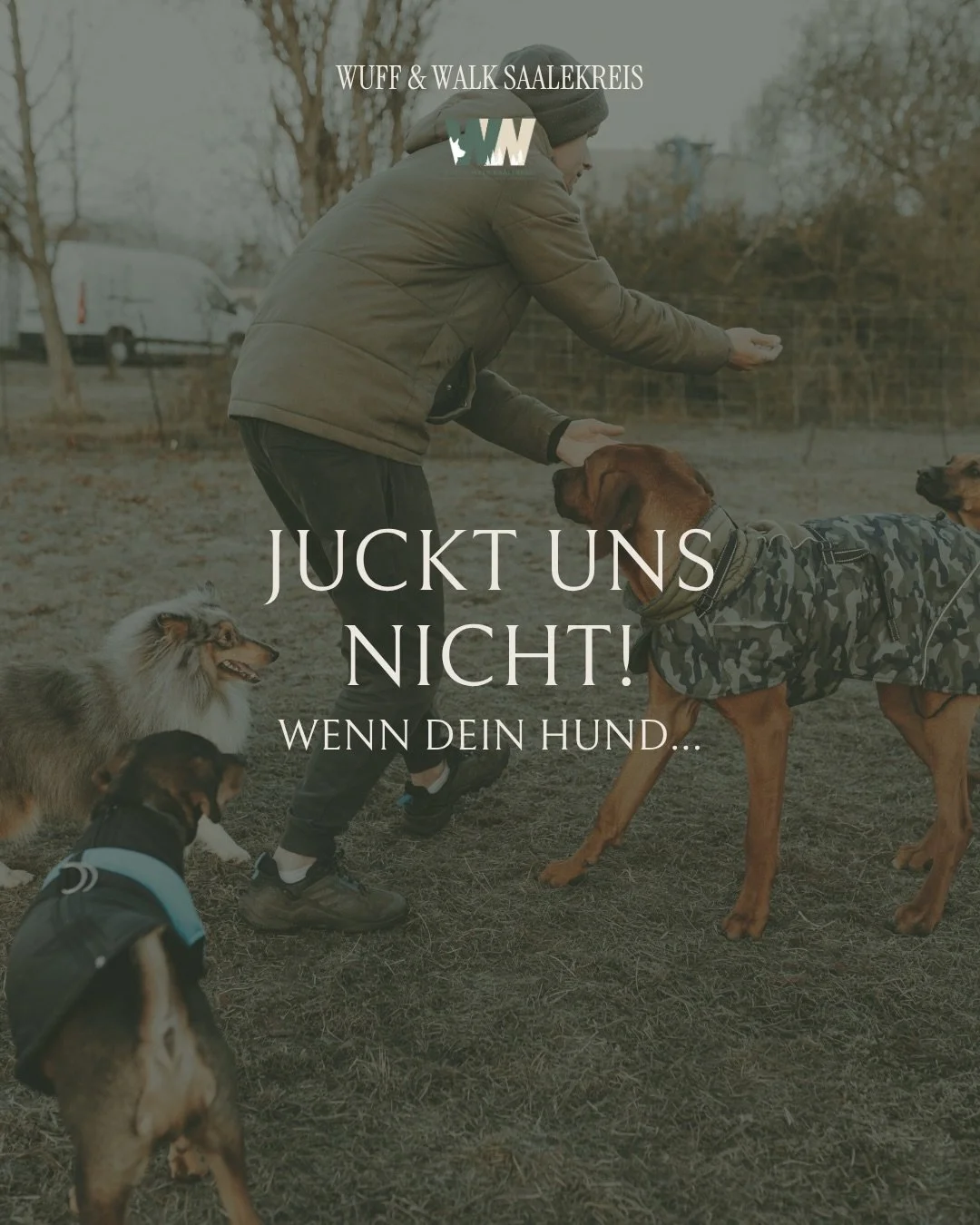 Juckt uns nicht, wenn dein Hund&hellip;

Wir haben den Trend heute mal ein bisschen f&uuml;r uns &uuml;bernommen, weil er ziemlich gut beschreibt, wie wir arbeiten.

Uns juckt nicht,
ob dein Hund unkastriert ist,
ob er perfekt h&ouml;rt
oder wo er he