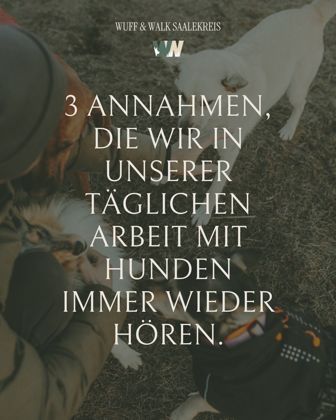 In unserer Arbeit mit Hunden und ihren Menschen h&ouml;ren wir bestimmte S&auml;tze immer wieder. Drau&szlig;en im Park, auf der Hundewiese oder auch bei uns im Training. Hier sind 3 Annahmen, mit denen wir ein wenig aufr&auml;umen m&ouml;chten:

🐶&