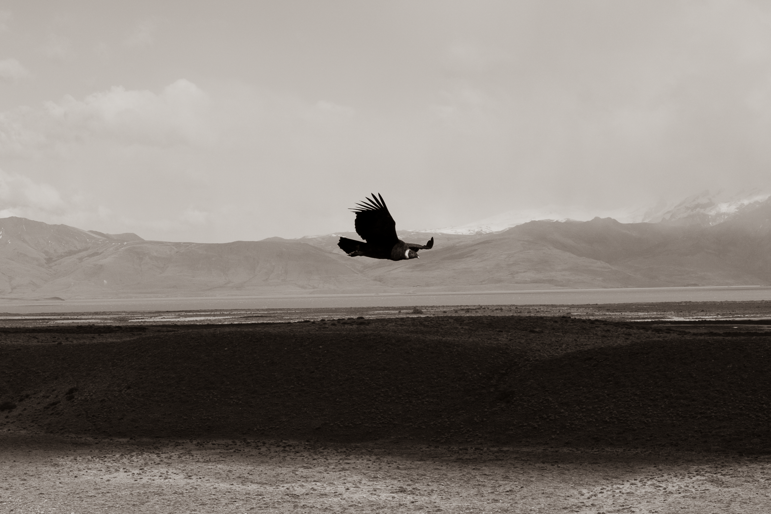 GAB04289-landscape-patagonia-15.png