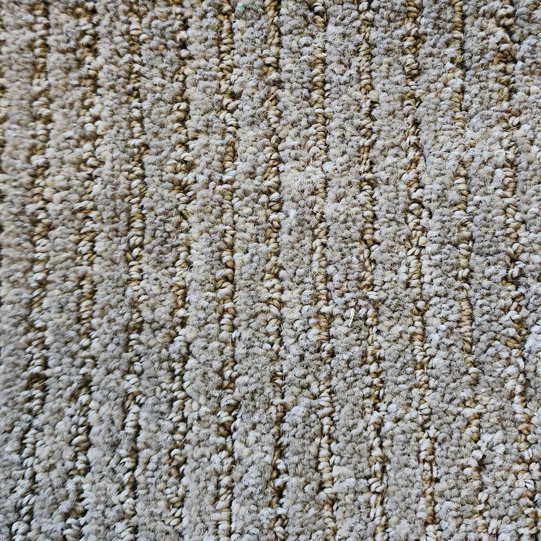 CR-1005.jpg