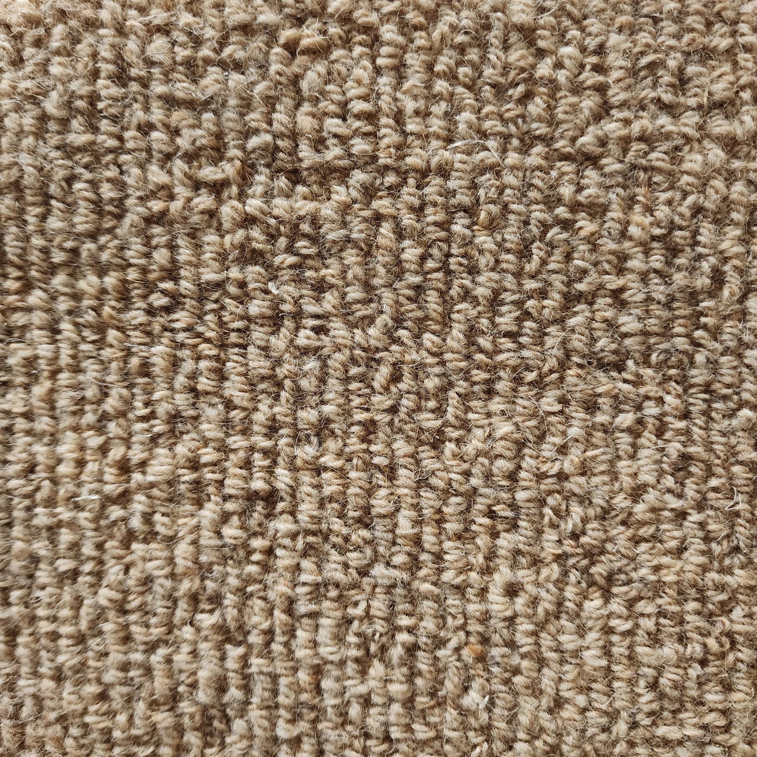 CR-1031.jpg