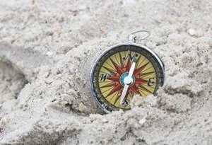 In search of life's compass