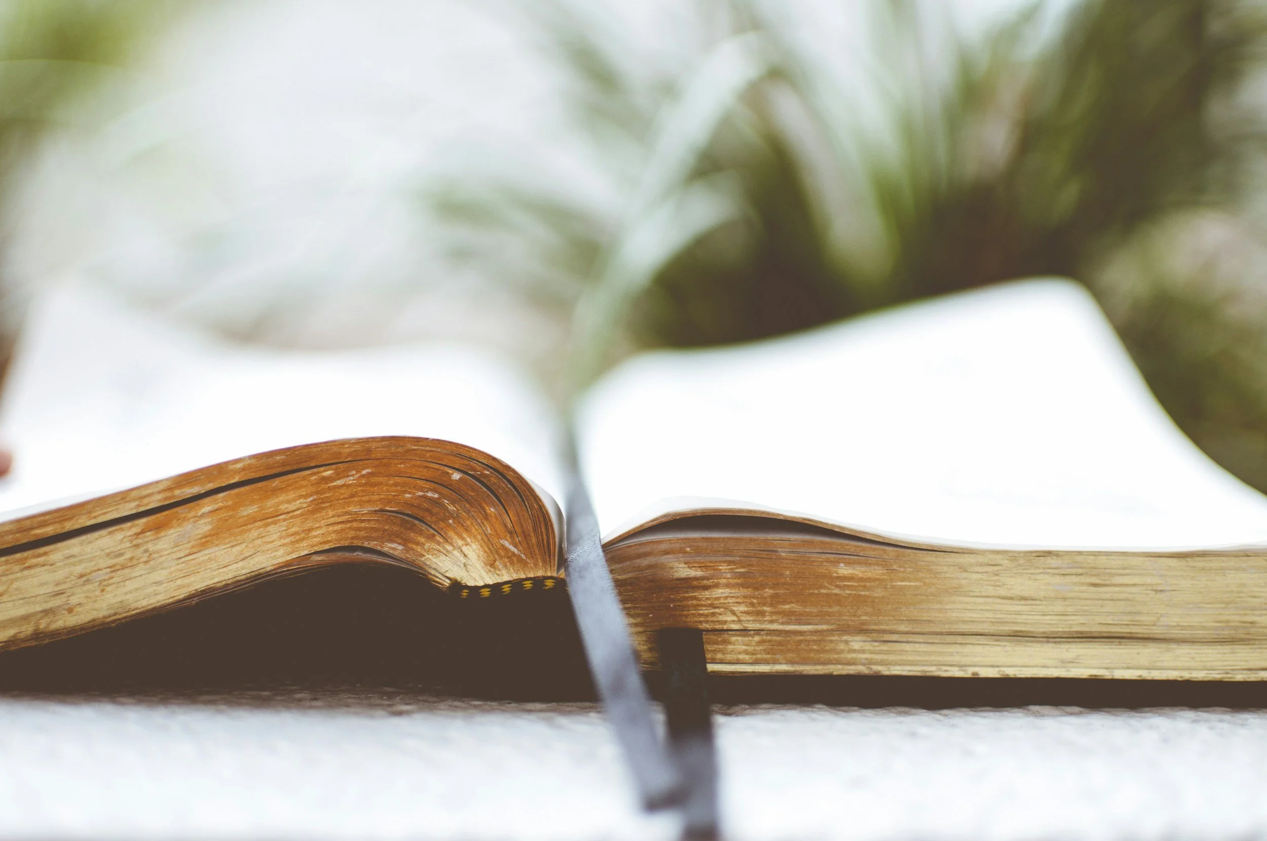 New Series Launch: “Jesus is Better”