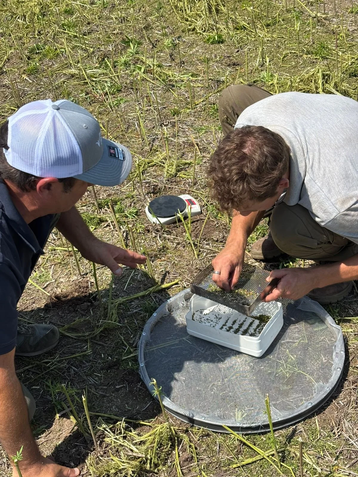 WhatsApp Image 2025-02-09 at 20.59.15 (18).jpeg