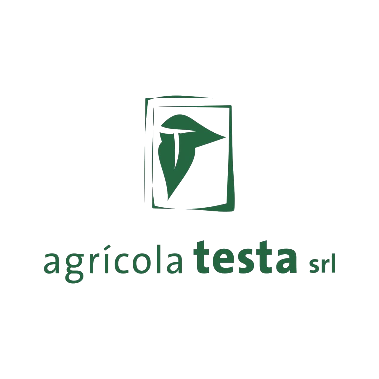 Logo en PNG.png