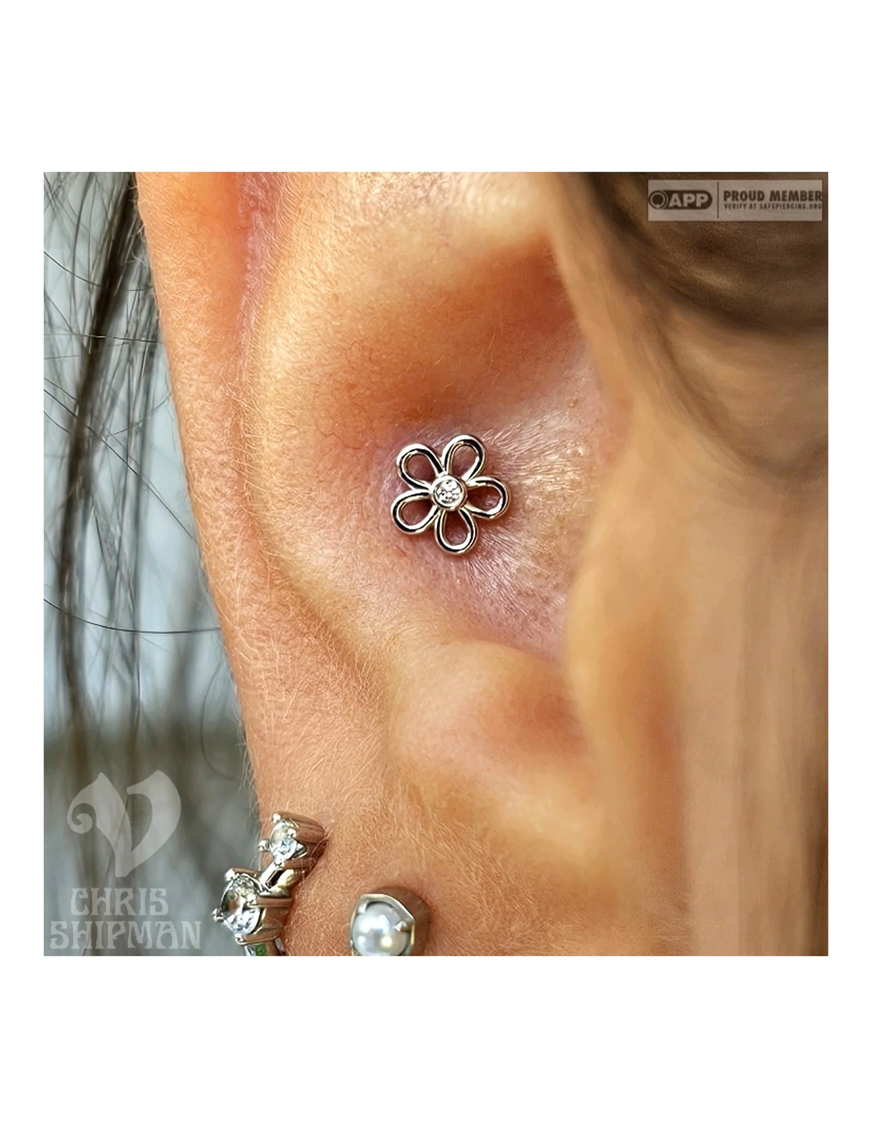 Fresh conch piercing by Chris Shipman at Visions Tattoo Gallery featuring a 14k white gold BVLA Loopy Flower with a VS diamond.