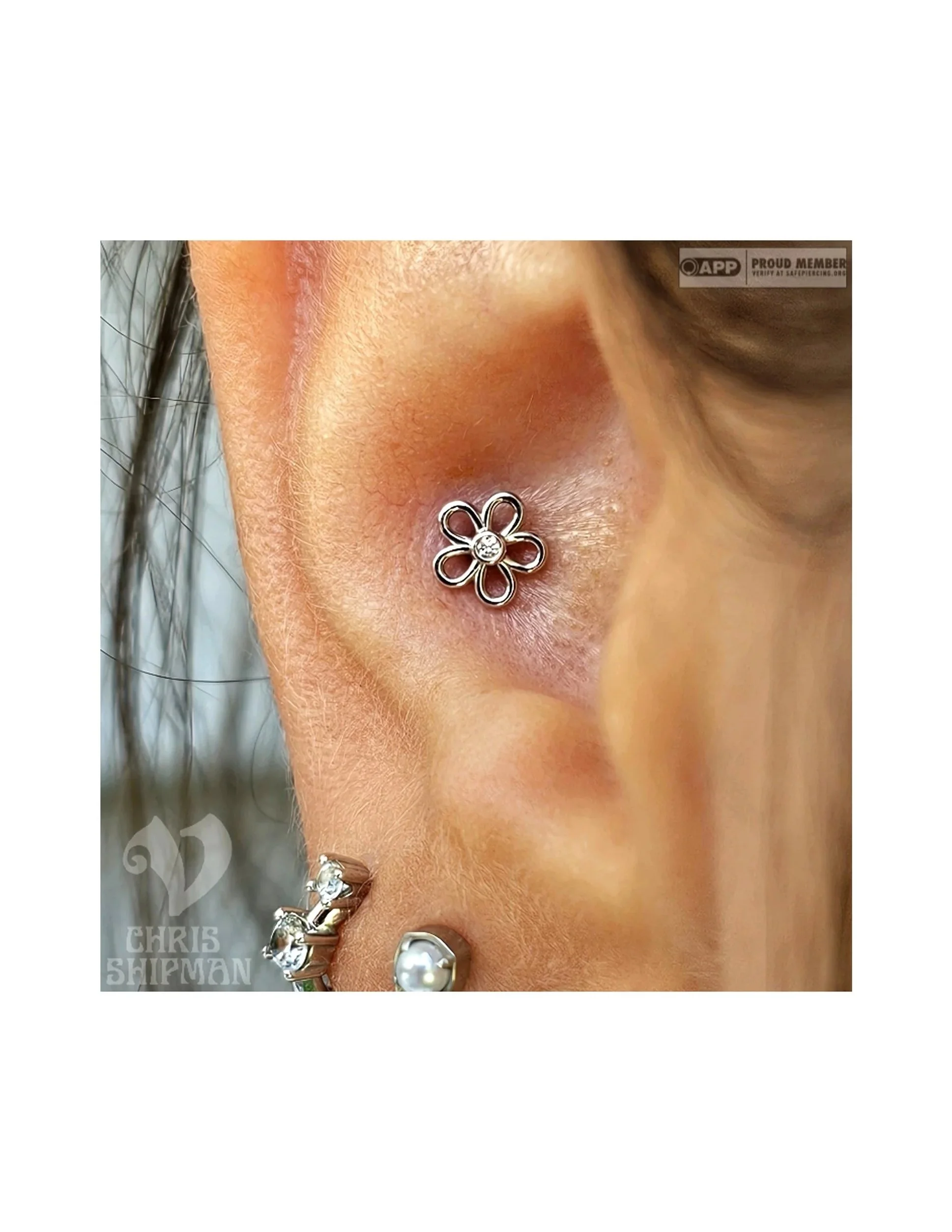 Conch piercing by Chris Shipman at Visions