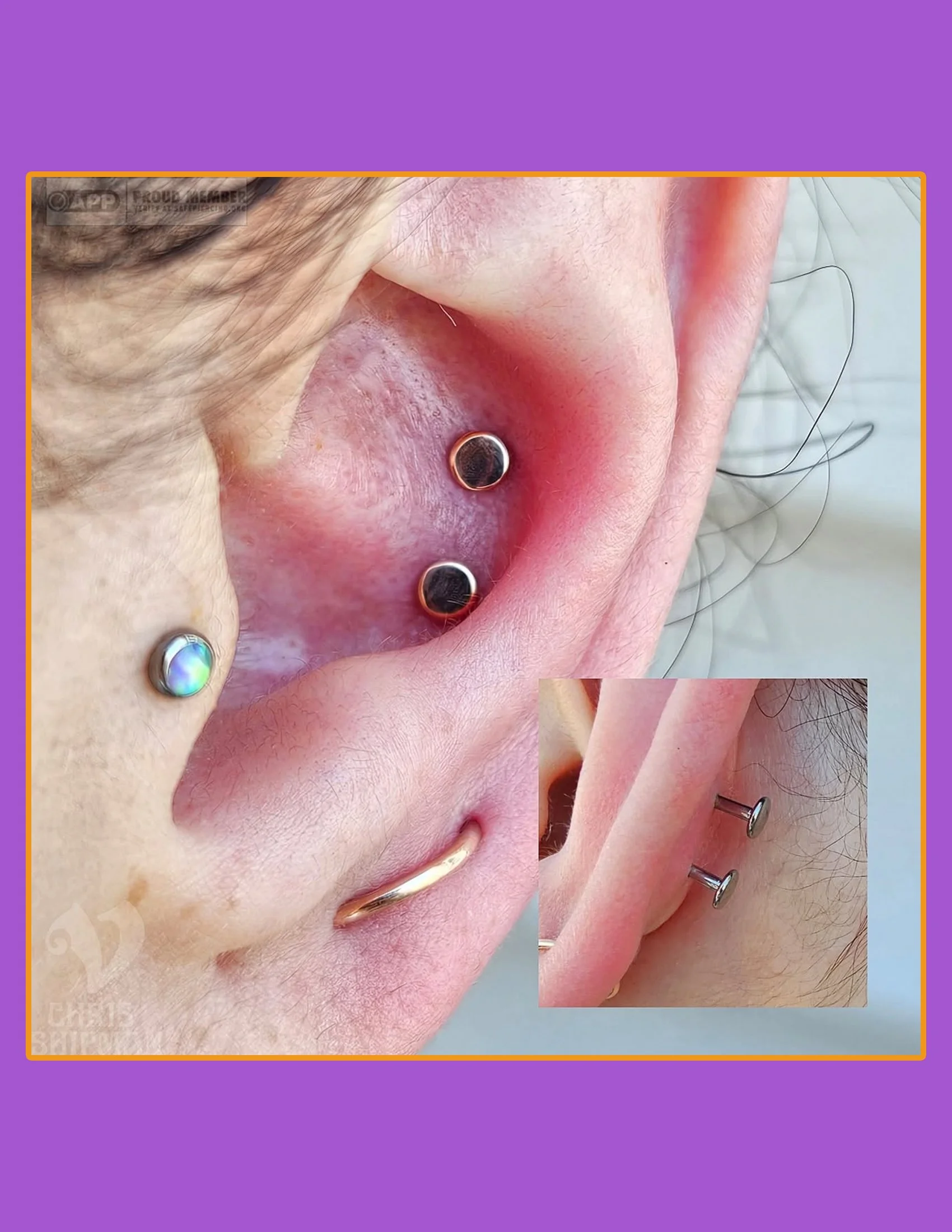 Double Conch Piercings by Chris Shipman | Medway MA