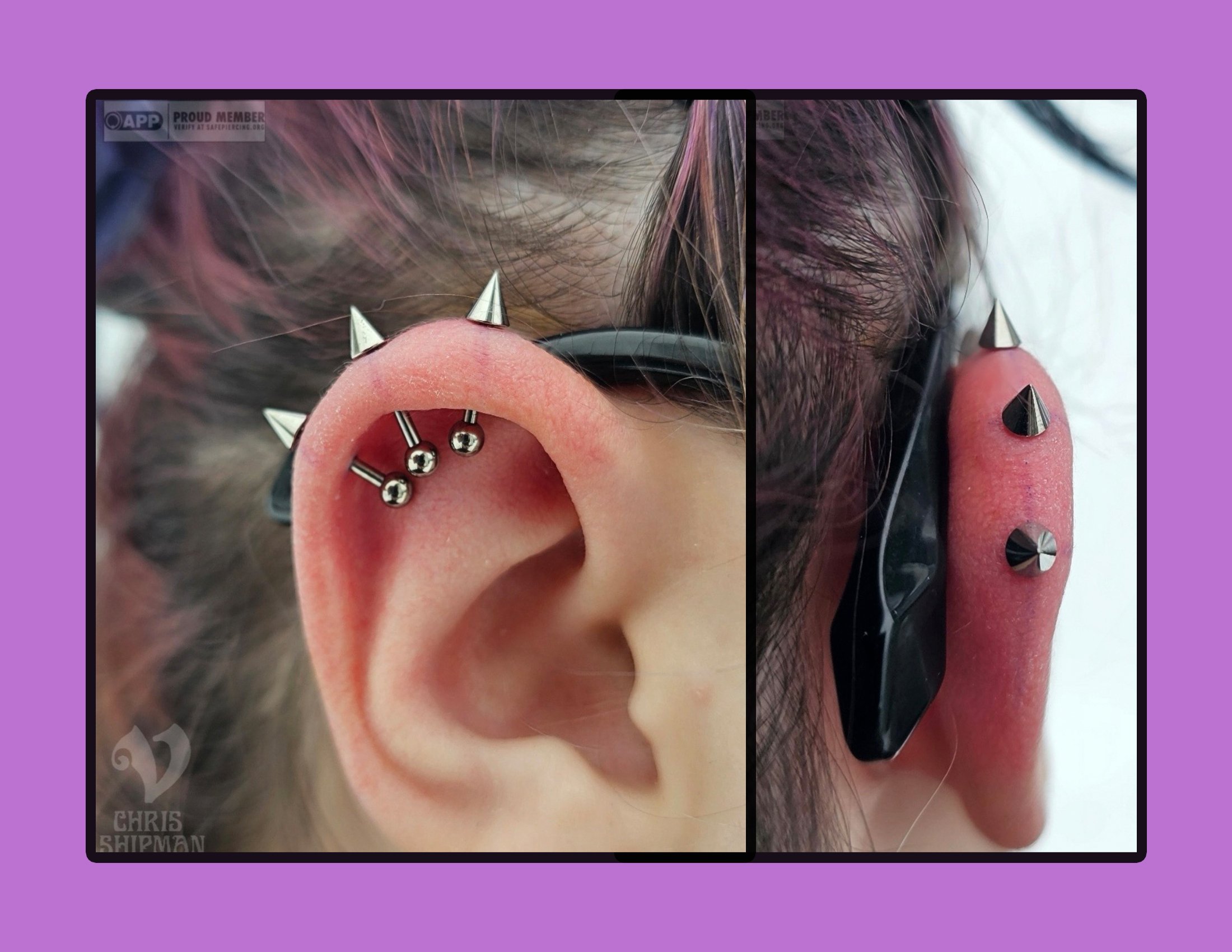 fresh triple vertical helix piercing by professional piercer Chris Shipman at Visions Tattoo Gallery