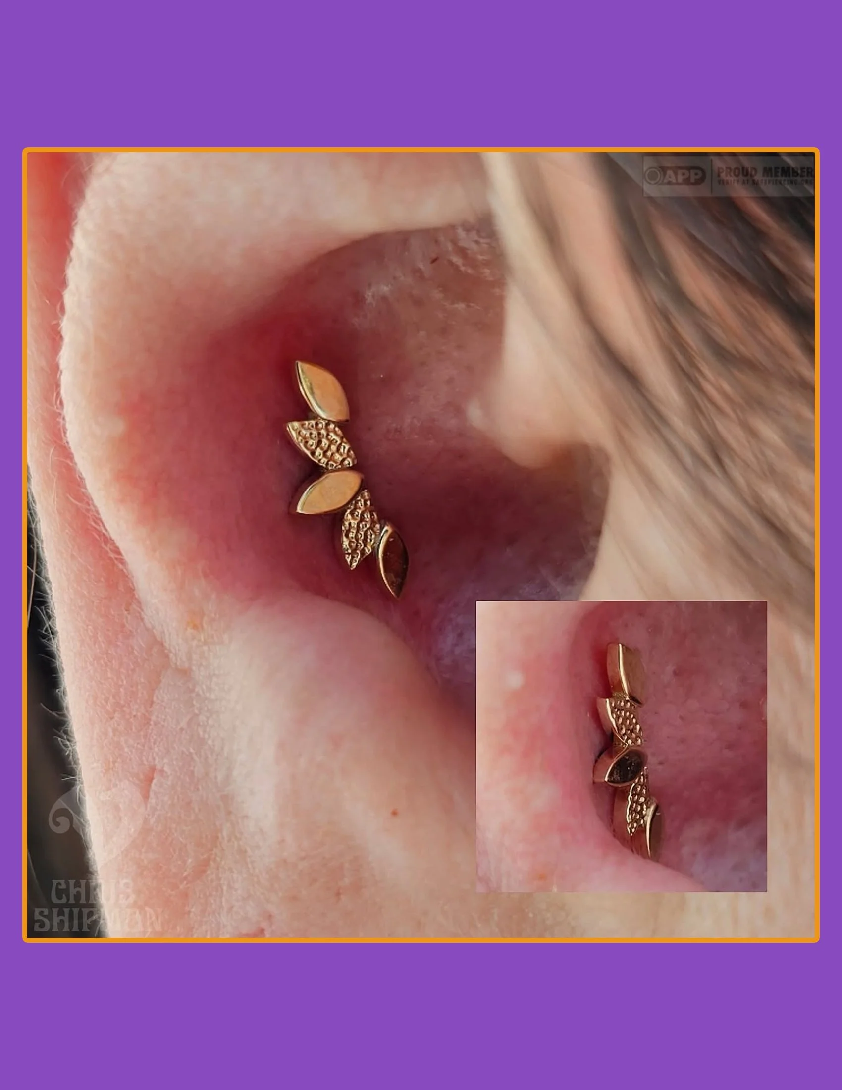 BVLA Serenity conch jewelry upgrade by Chris Shipman at Visions Tattoo Gallery in Medway MA
