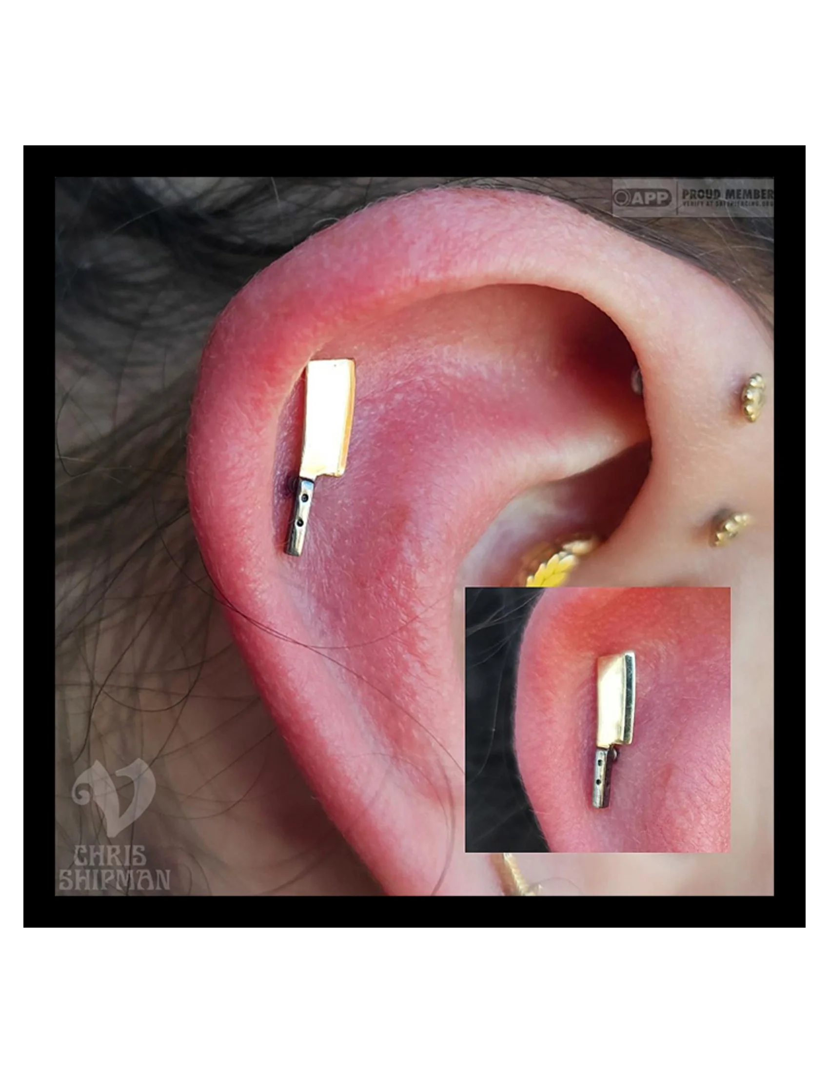Fresh helix piercing by Chris Shipman at Visions Tattoo Gallery featuring the BVLA Cleaver in 14k yellow gold with black rhodium.
