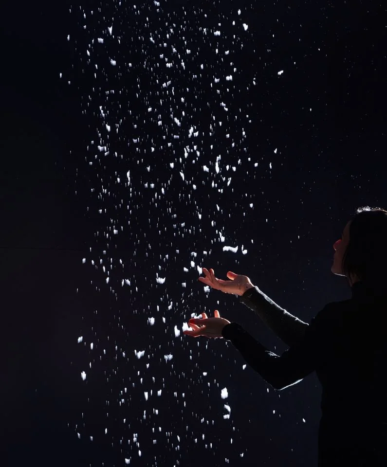 Falling Snow