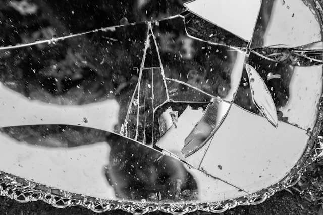 PTSD Awareness Month: Trauma, Survival, and Healing