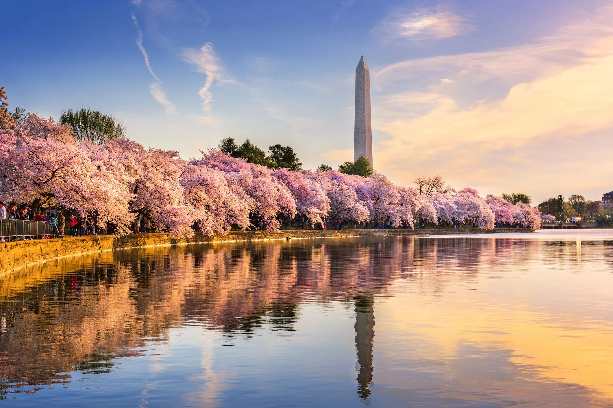 iStock-627202312.jpg