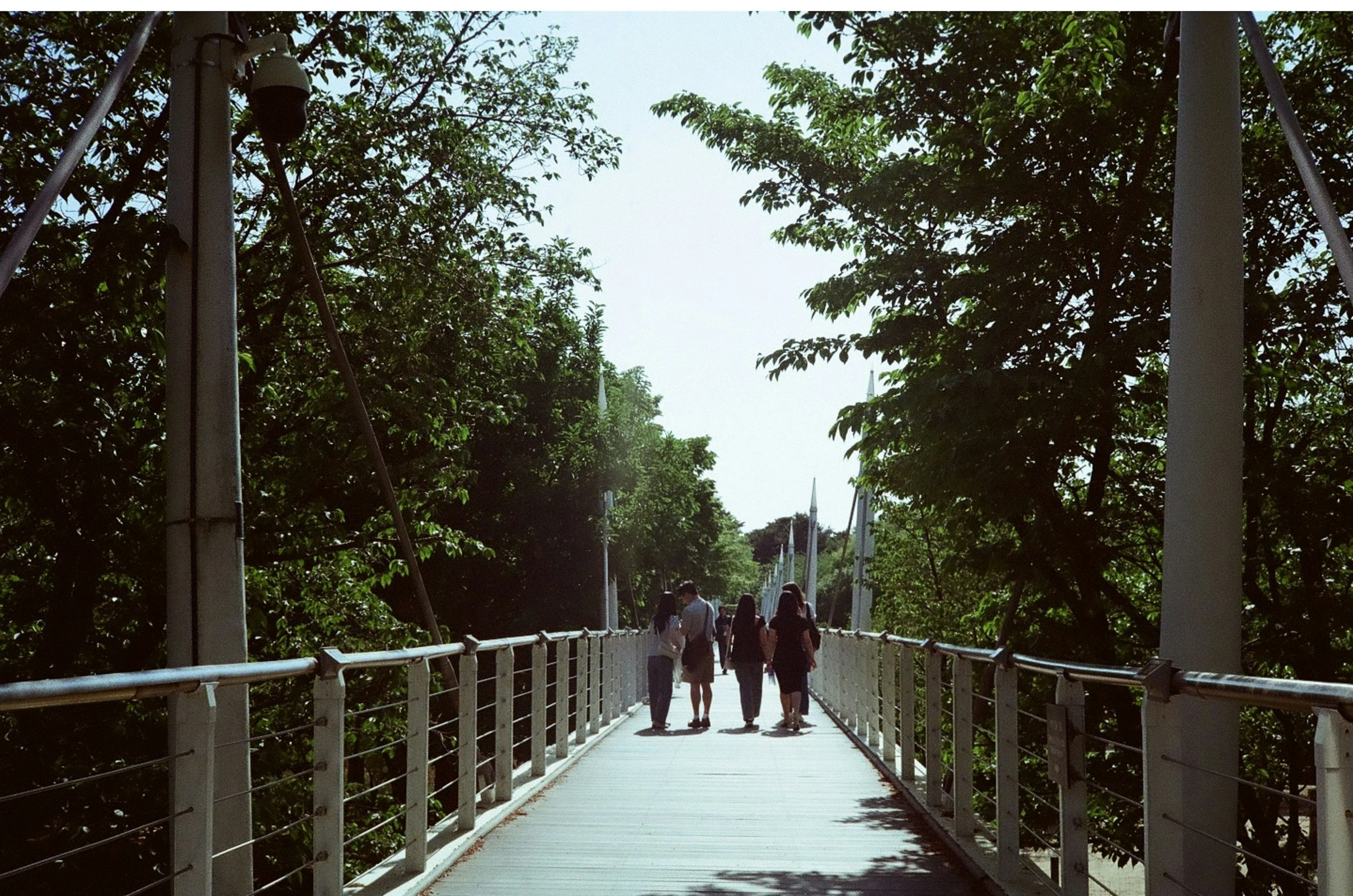 Wildkinn Walk - Paris
