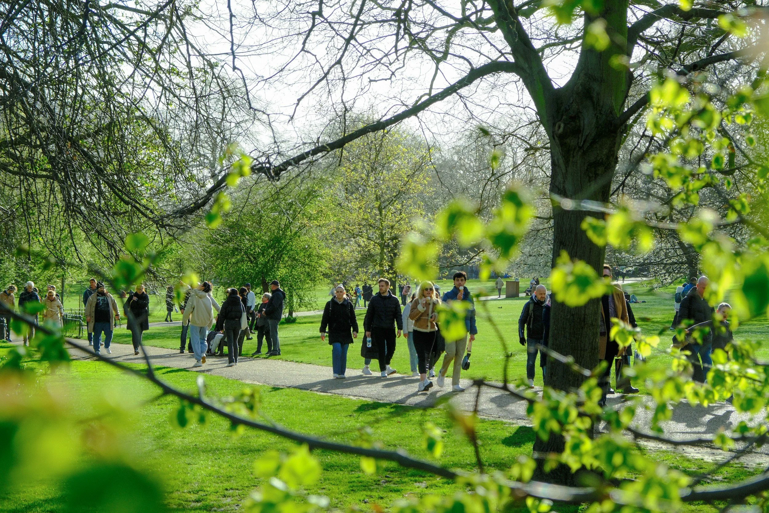 Wildkinn Walk - London