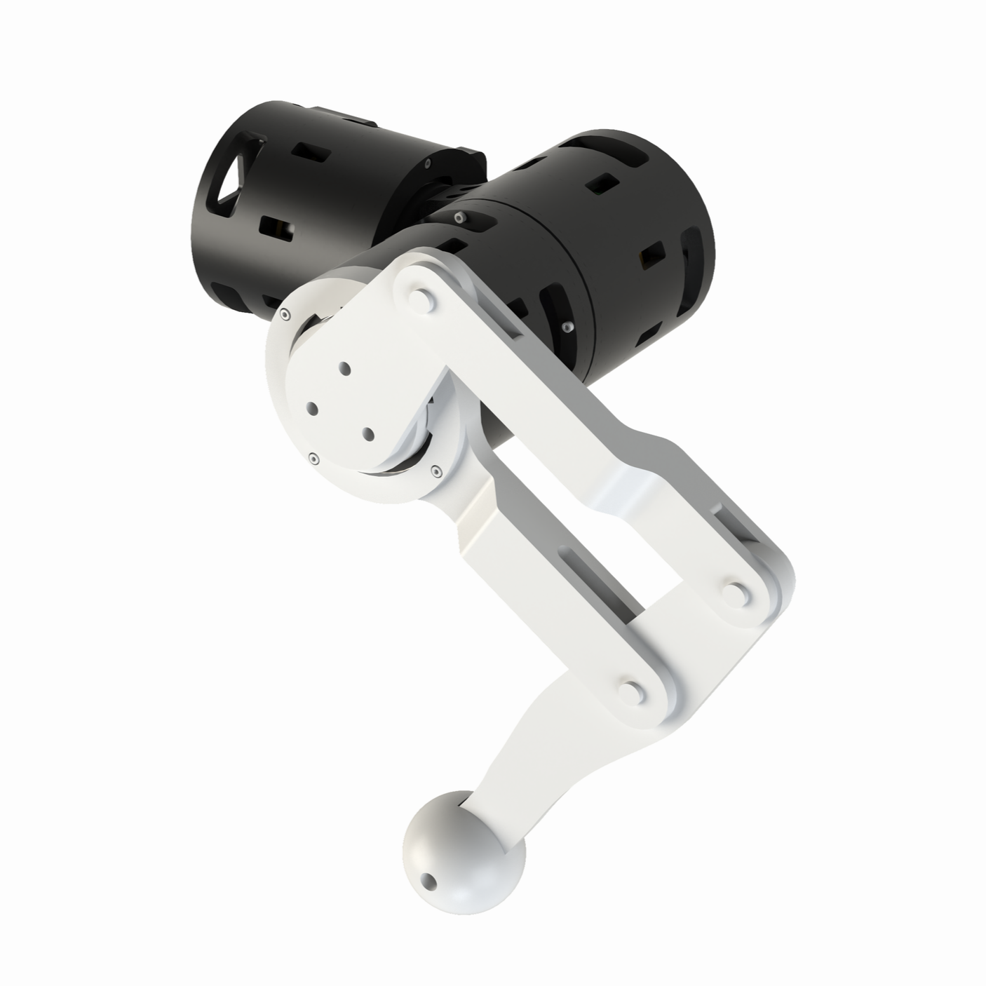 Robotic Quadruped Leg