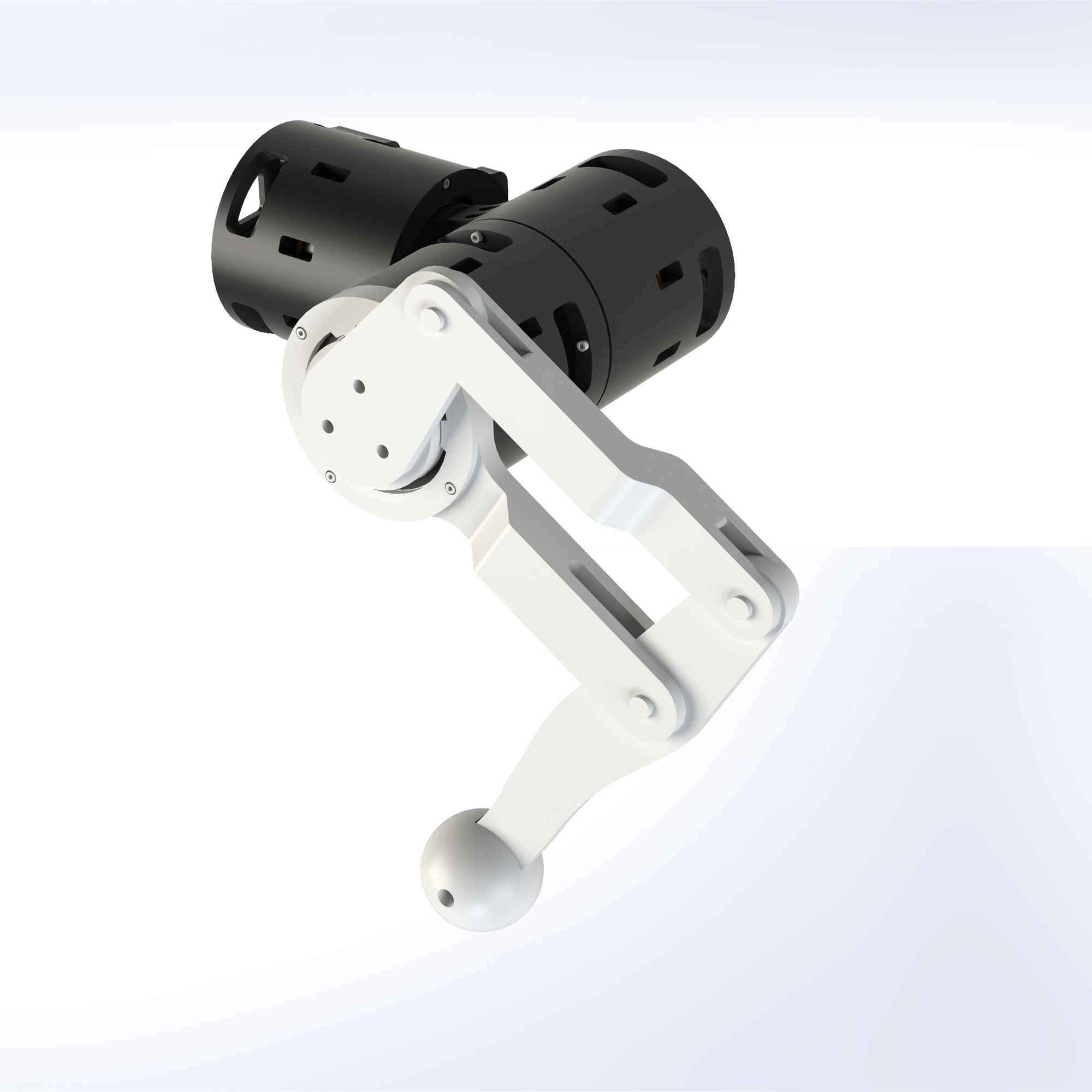 Robotic Quadruped Leg