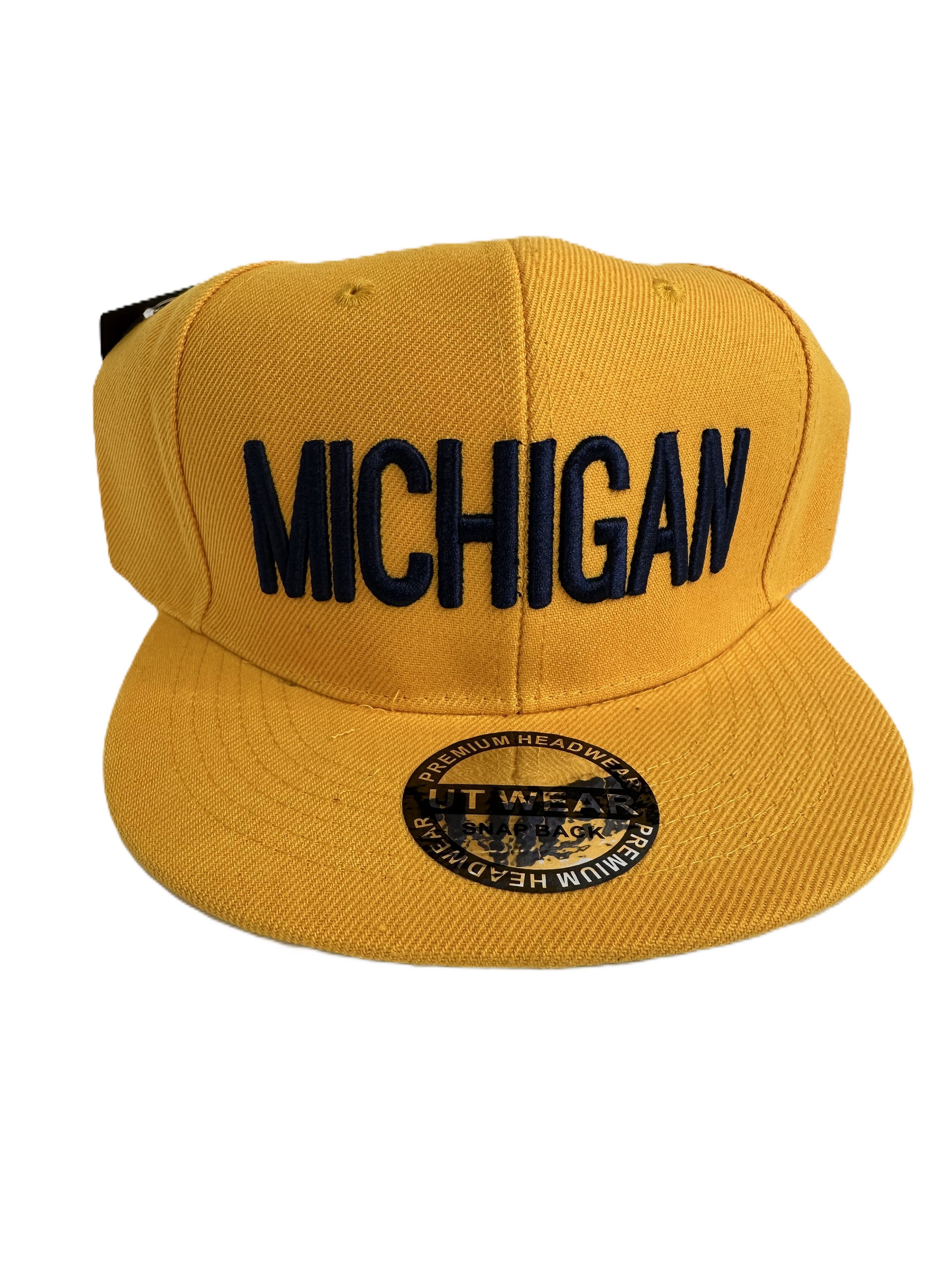 Michigan Gold_Blue