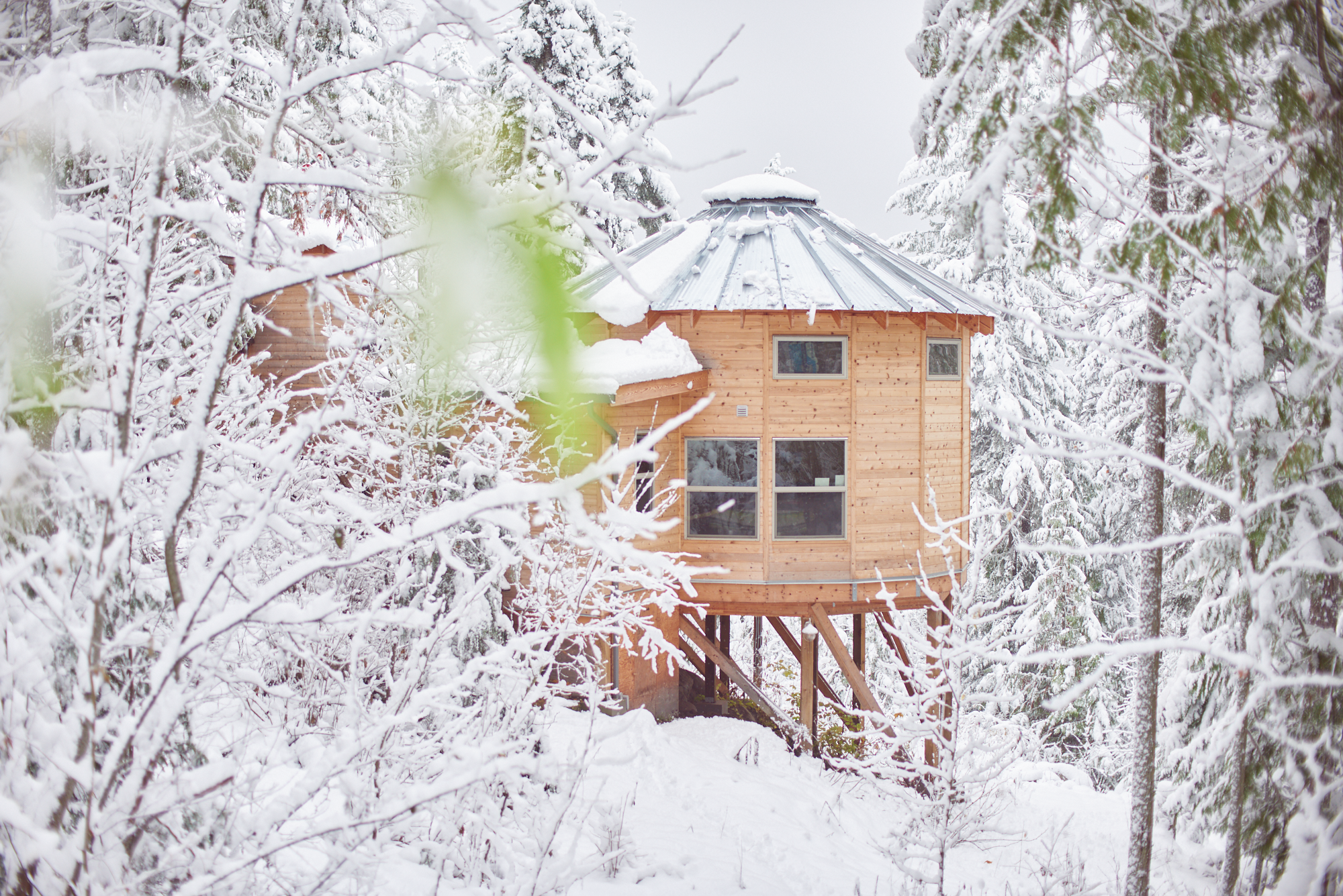 Winter Wonderland November 2024 Addition.png