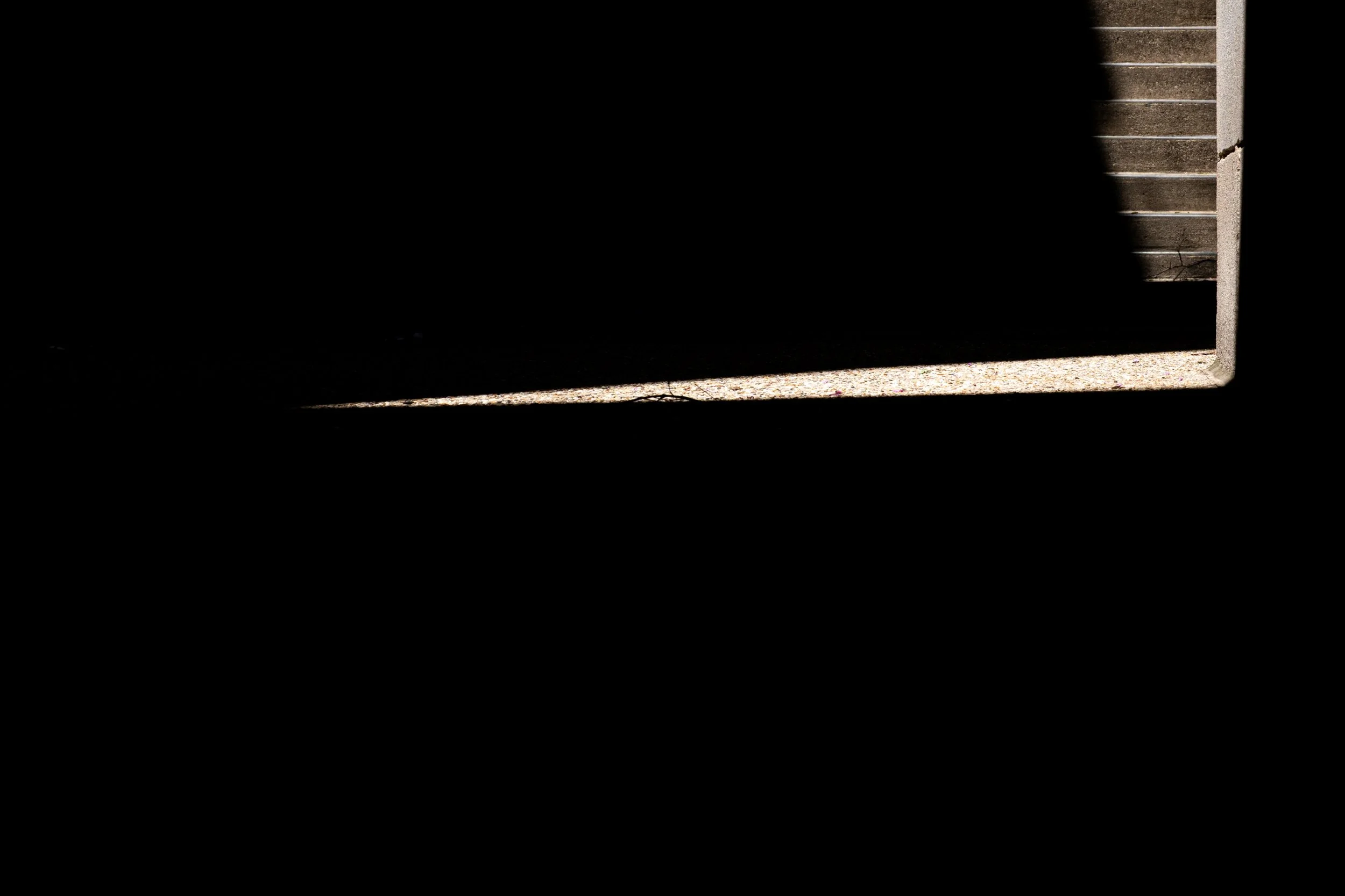 digital-13.jpg