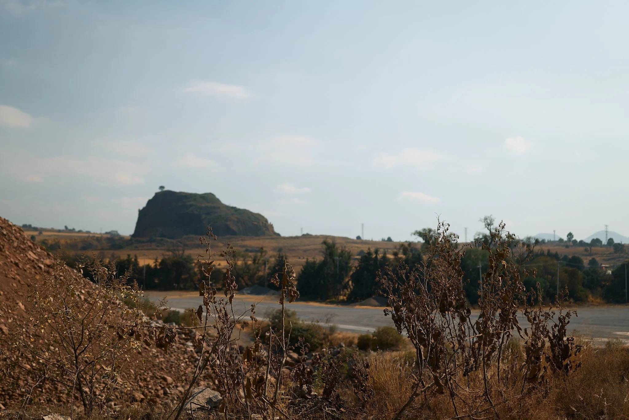L1030404.jpg