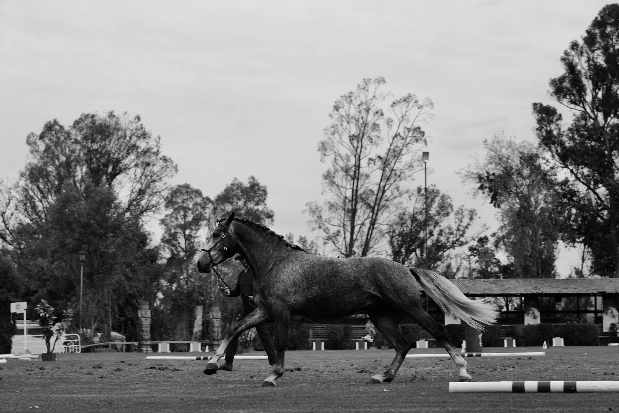 L1010029.jpg