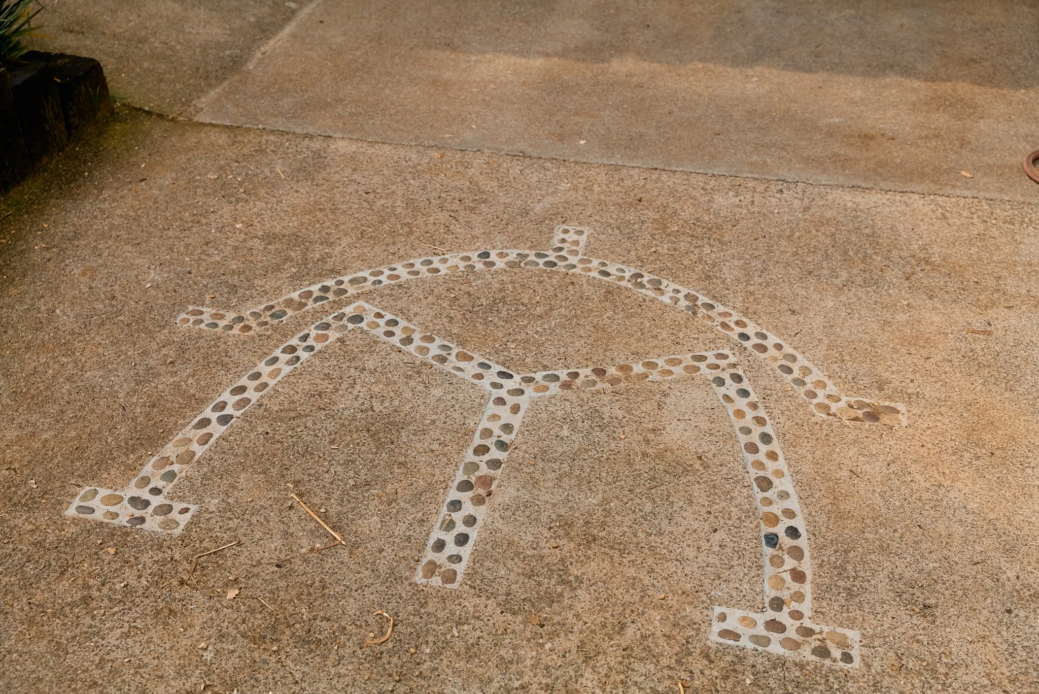 L1020532.jpg