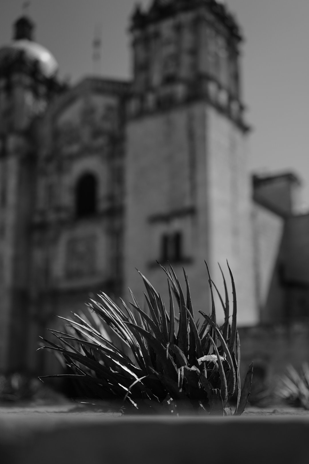 L1010841.jpeg