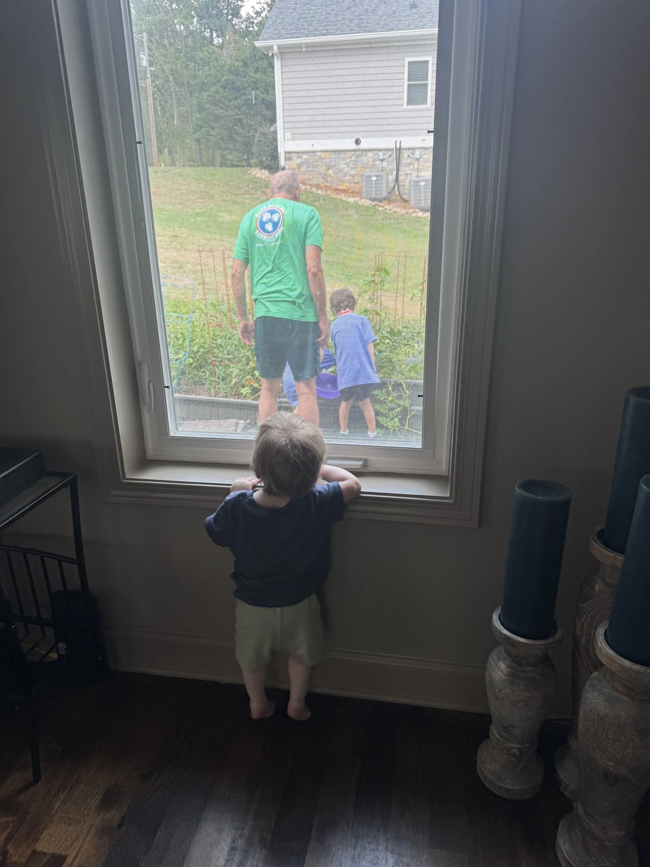 a little kid looking out the window at big brother and grandpa picking fruits and vegetables from the garden