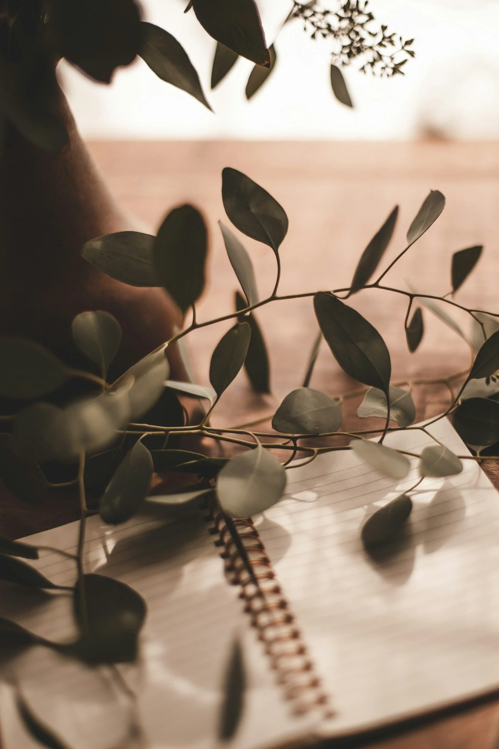 unsplash-image-hUBXUk8wzqM.jpg