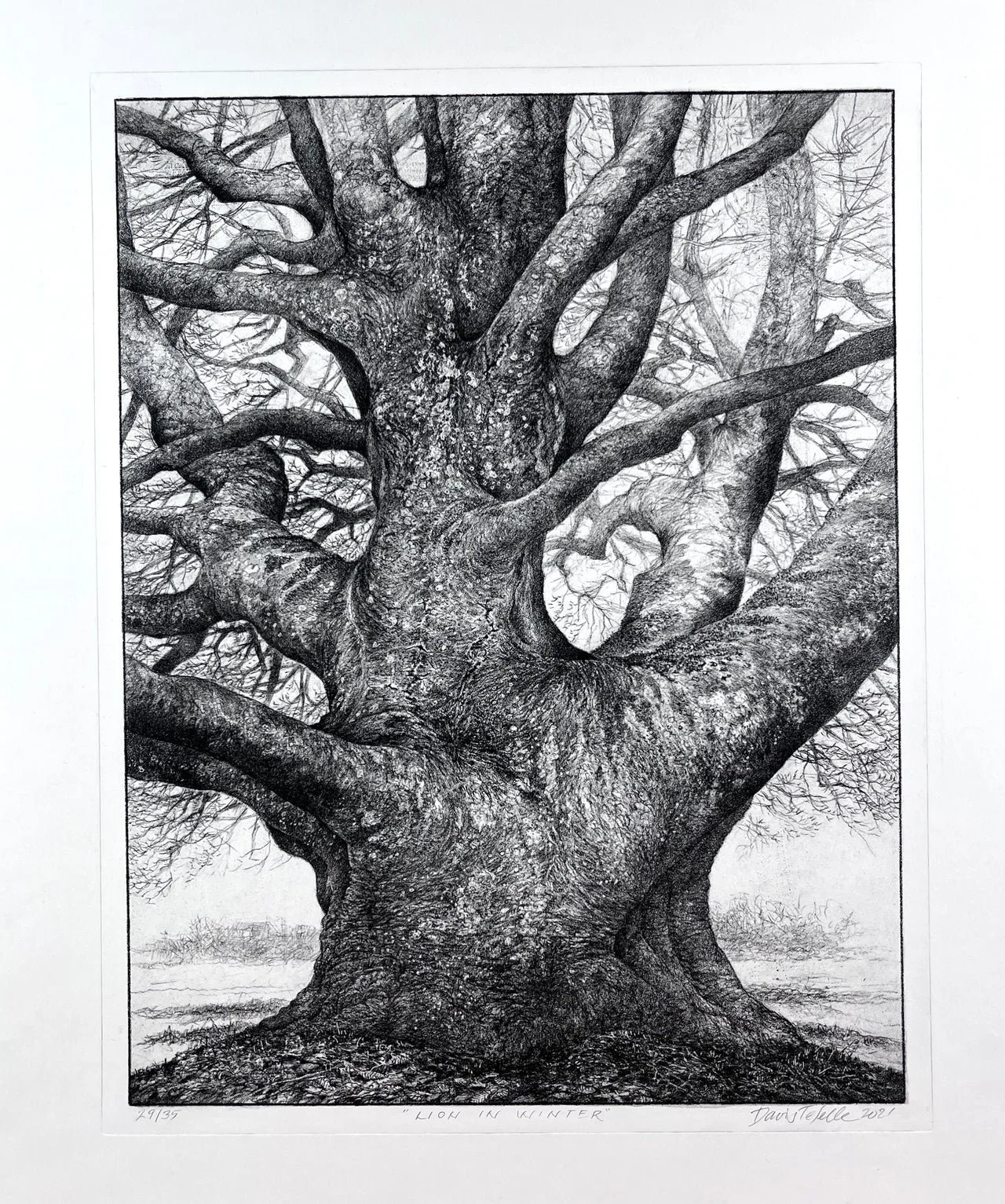 Davis Te Selle - Waterless Lithography