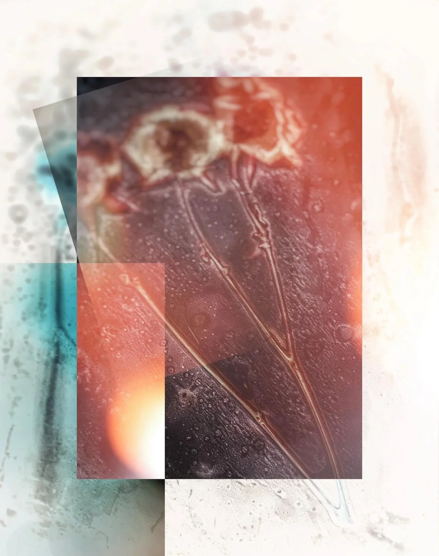 .
TWO SPACES LEFT! ☀️🌿

You do not want to miss this Lumen Photography Workshop with @julie_moore129 

What better way to spend the Summer Solstice than creating art with the light of the sun?

In this two-day workshop, you&rsquo;ll learn how to mak