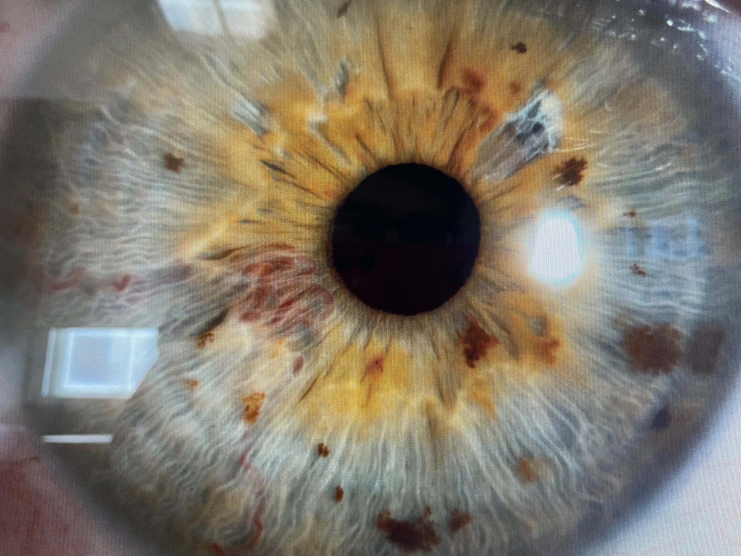 Dentista em Guimarães – Clínica Conde de Margaride Oftalmologista em Guimarães – Consulta médica Clínica em Guimarães – Conde de Margaride