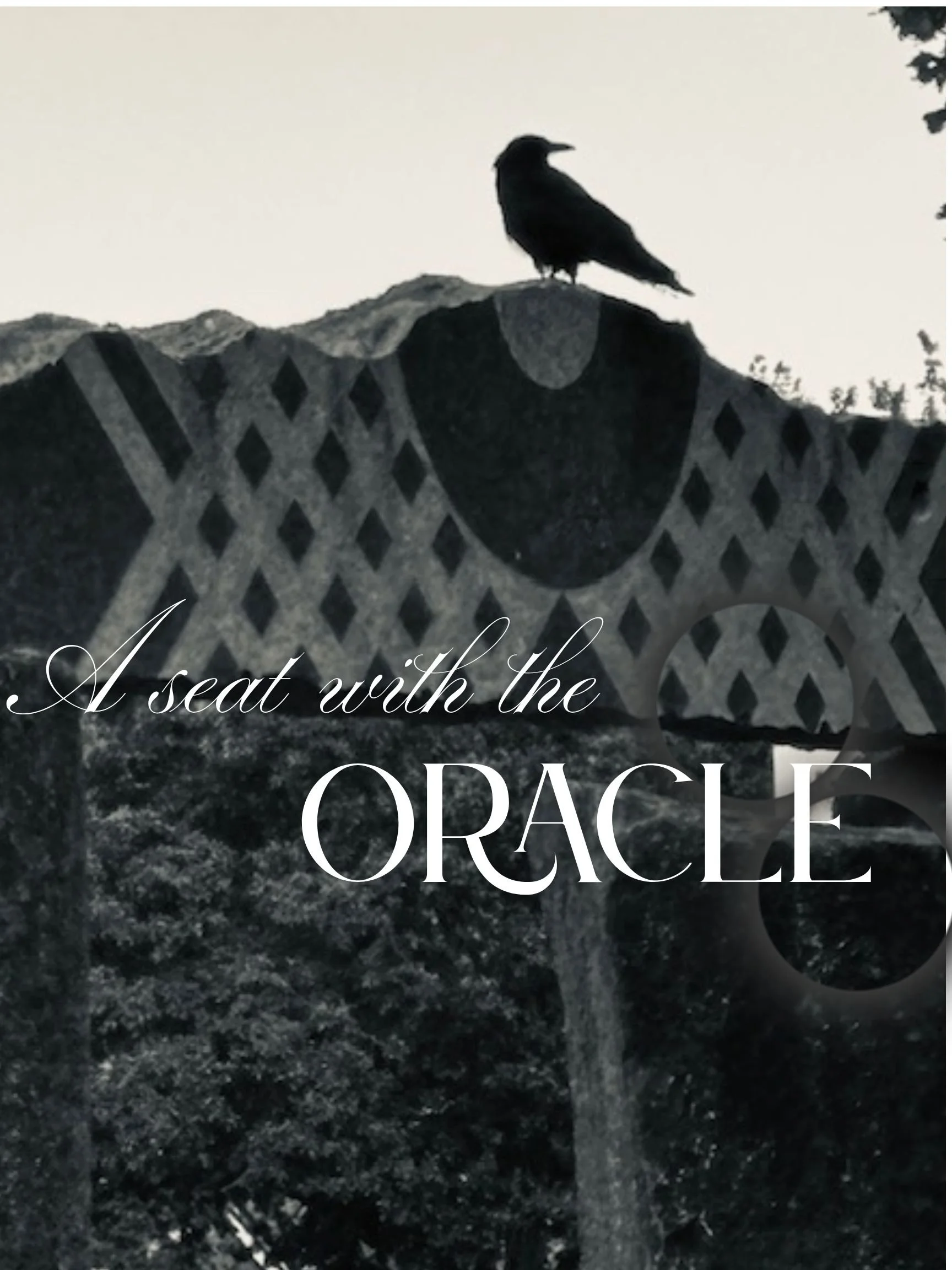 A Seat with the Oracle