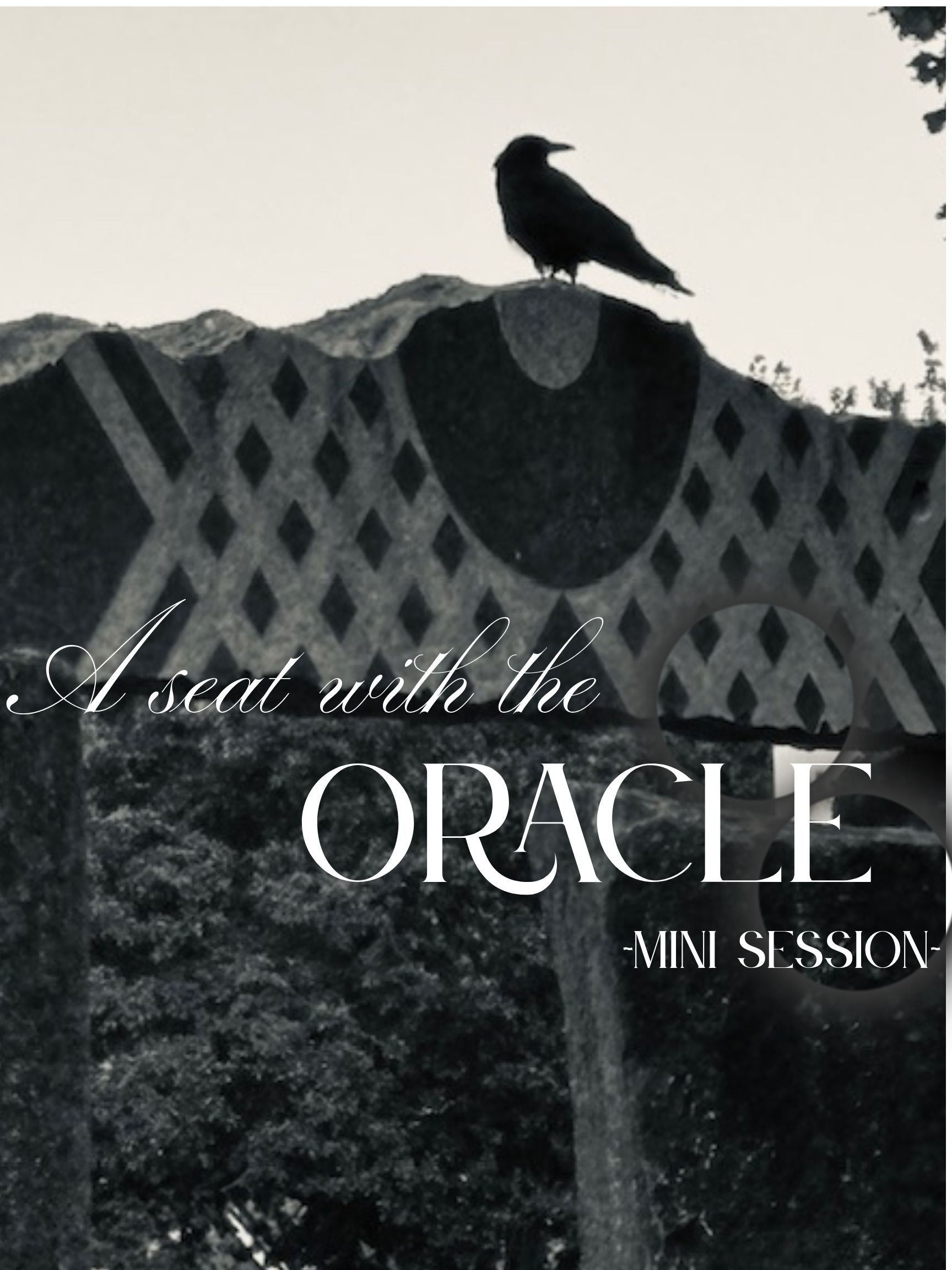 *MINI* A seat with the Oracle