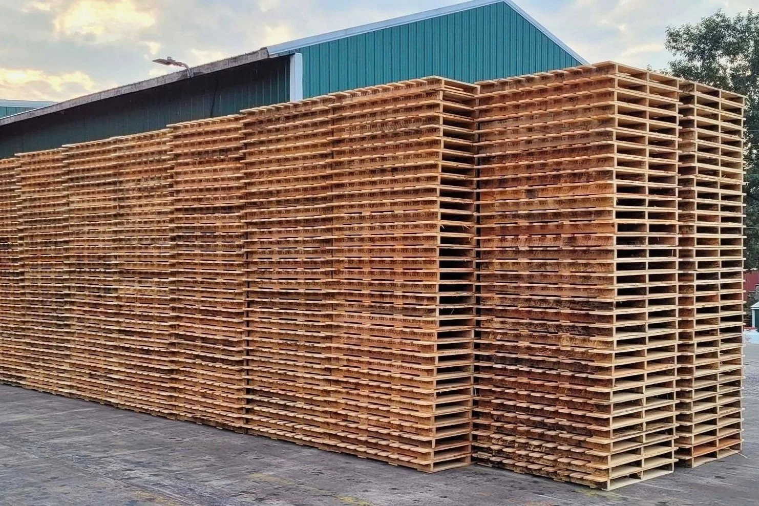 stacks of pallets on concrete