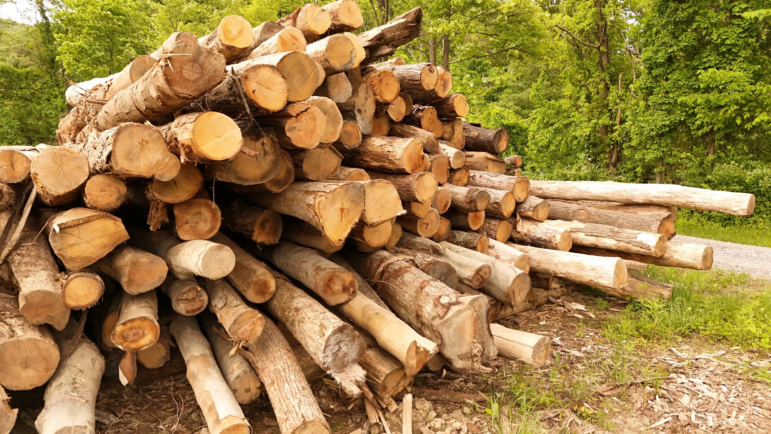 logs used by Bridger Creek LLC to make quality pallets in central Pennsylvania