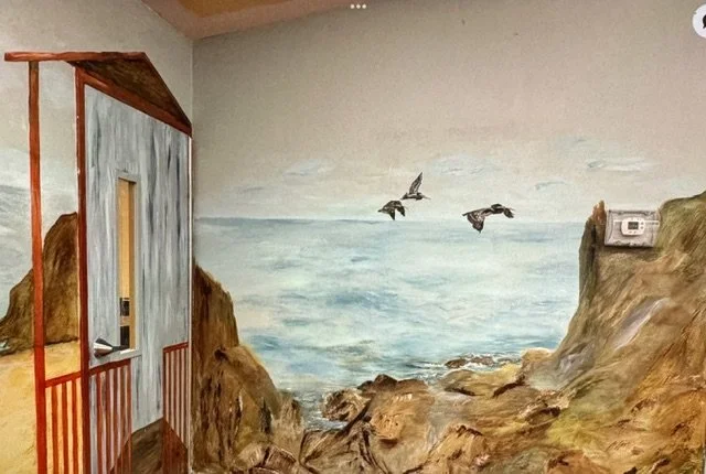 Pelicans, Beach, Rocks, Corpus Christ, Mural by Litasmitharttn.com. Commission Work