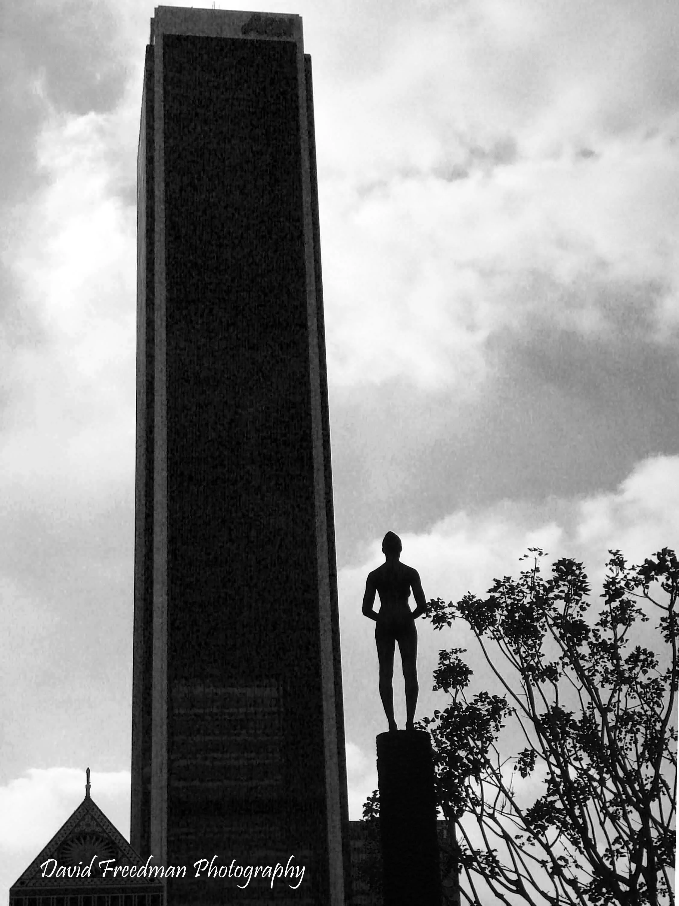 AON---B-W.jpg