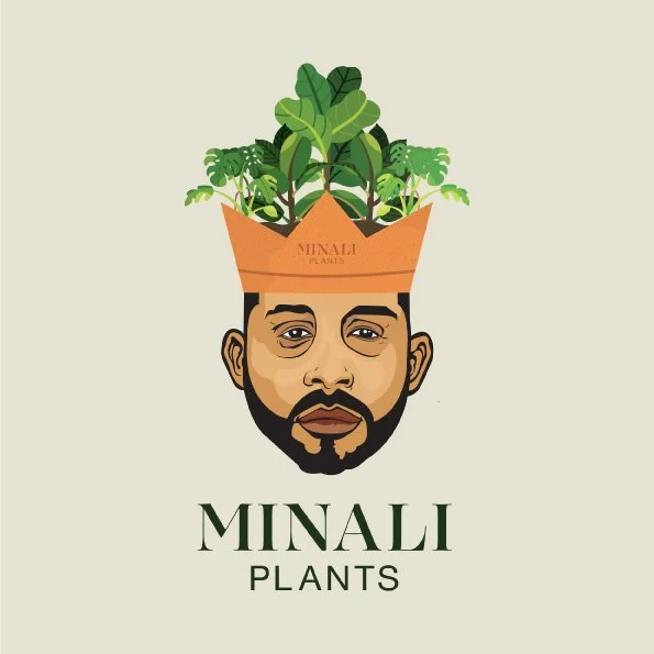 minali presentation.png