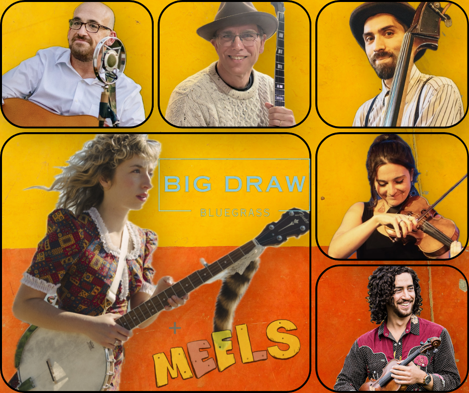 Big Draw Bluegrass featuring MEELS